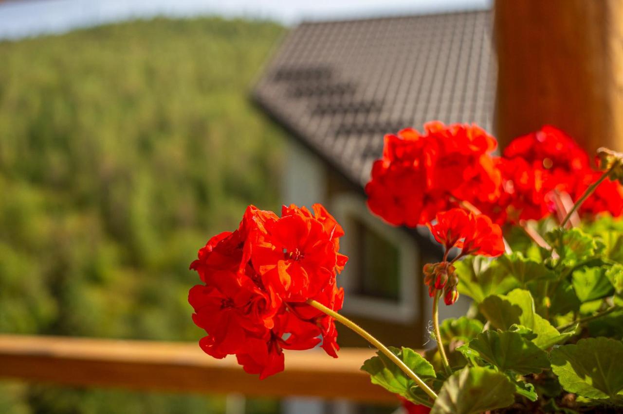 Konopka Guest House Bukovel Exterior photo