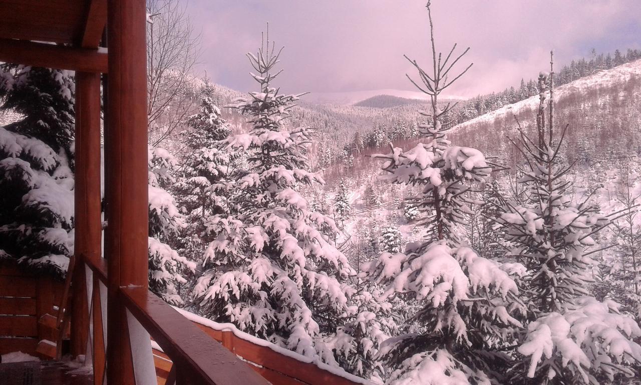 Konopka Guest House Bukovel Exterior photo